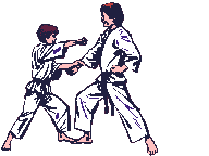 karateanimation1.gif
